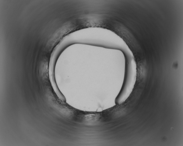 X0000115720700200912241605