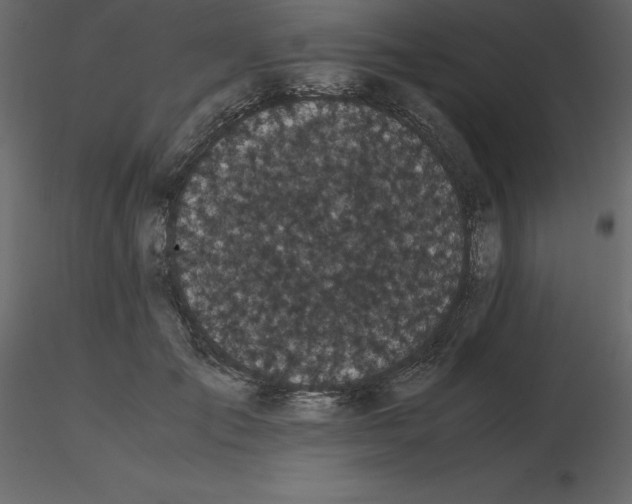 X0000115720701200912241605