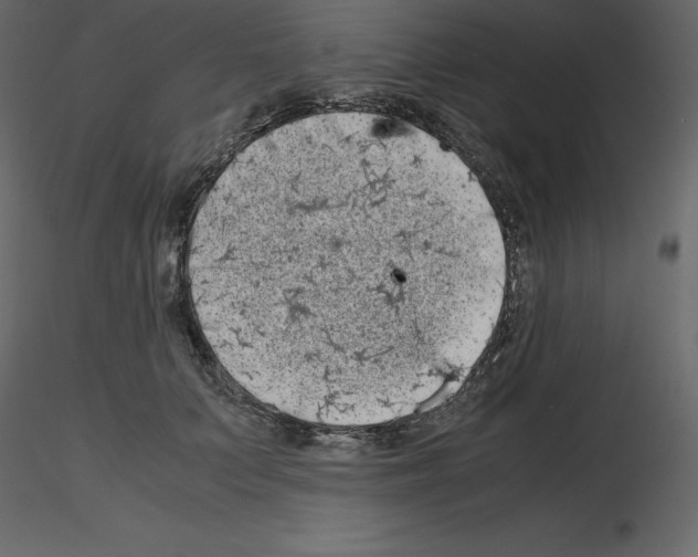 X0000115720703200912241605