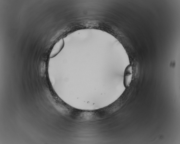 X0000115720704200912241605