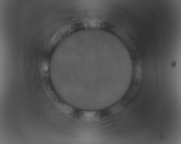 X0000115720709200912241605