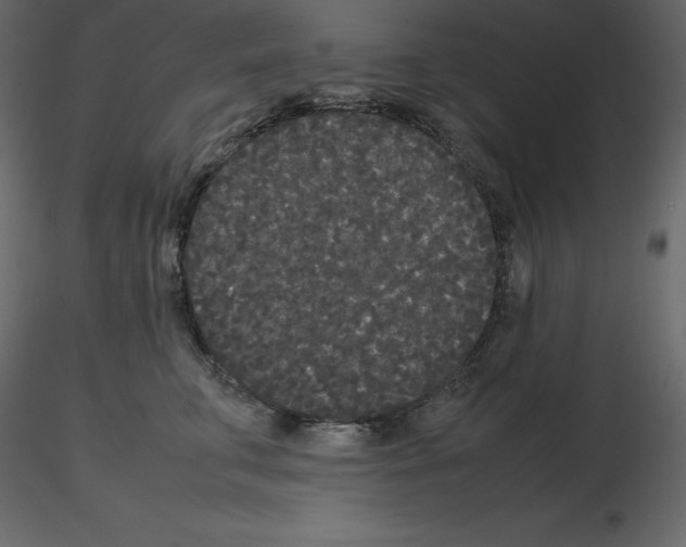 X0000115720711200912241605