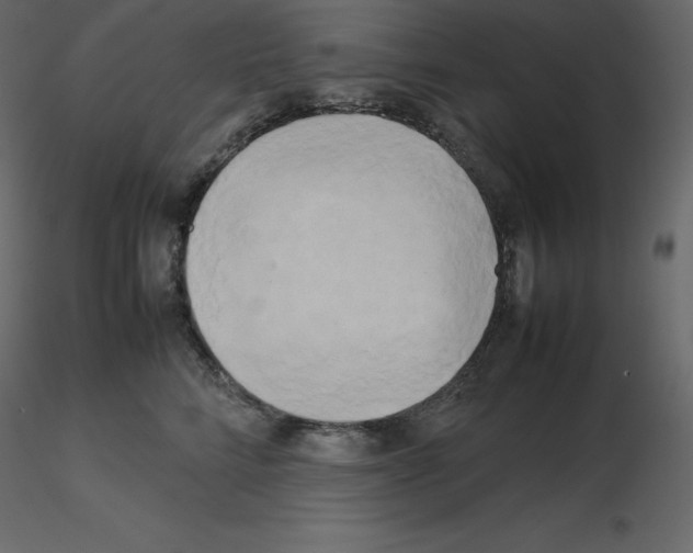 X0000115720712200912241605