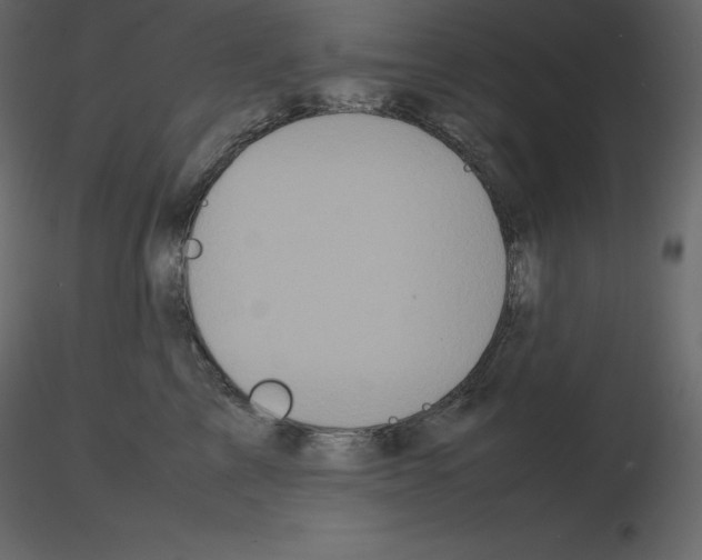 X0000115720713200912241605