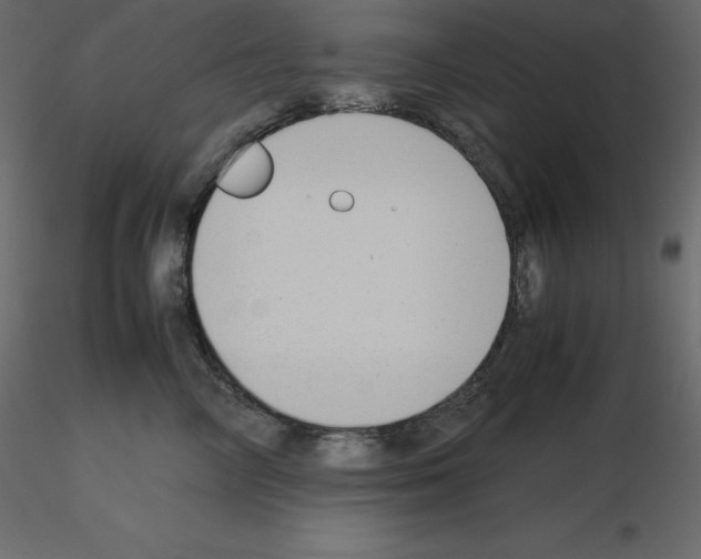 X0000115720714200912241605