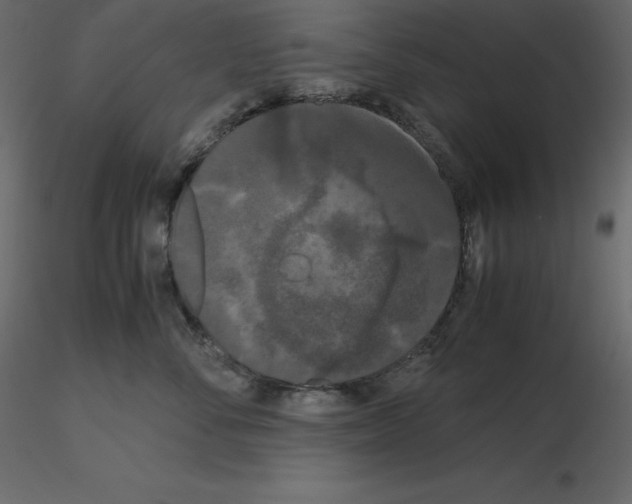 X0000115720716200912241605