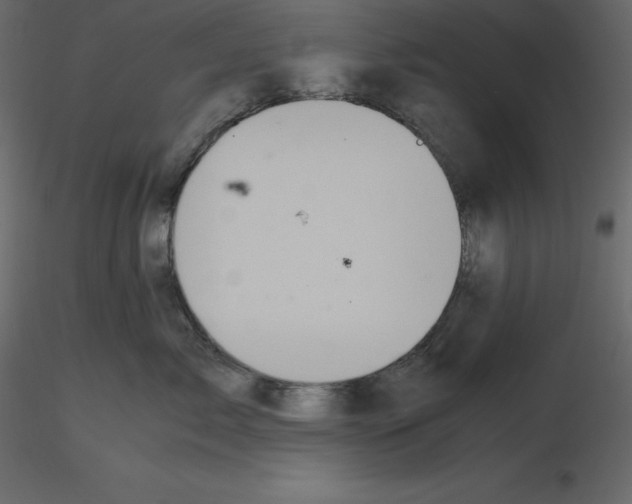 X0000115720717200912241605