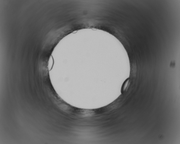 X0000115720719200912241605