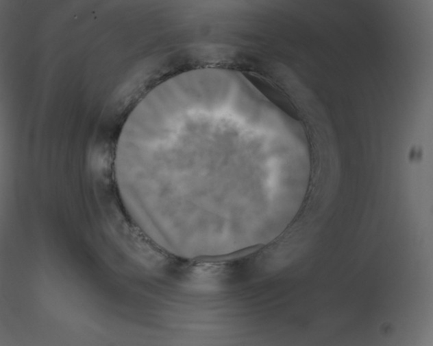 X0000115720720200912241605