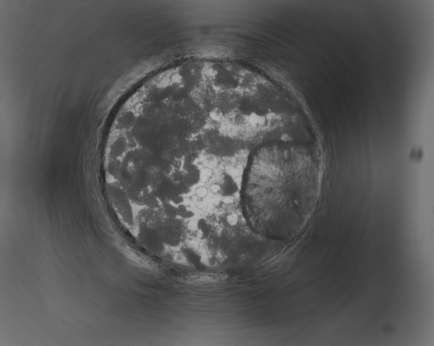 X0000115720721200912241604