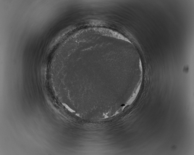 X0000115720722200912241604