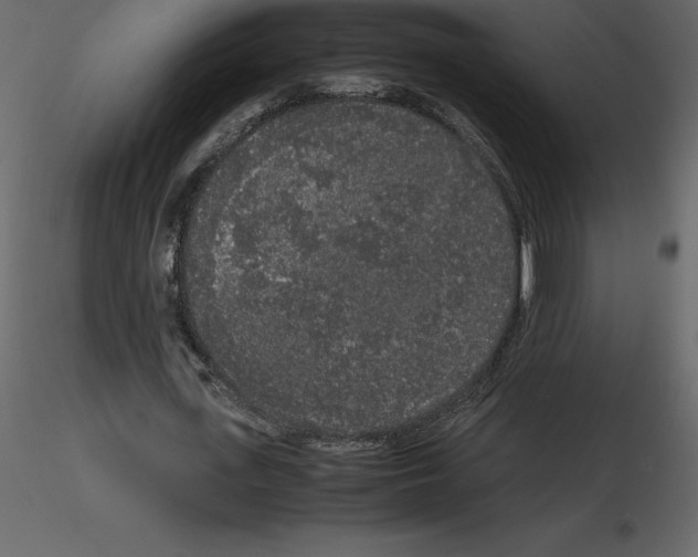 X0000115720723200912241604