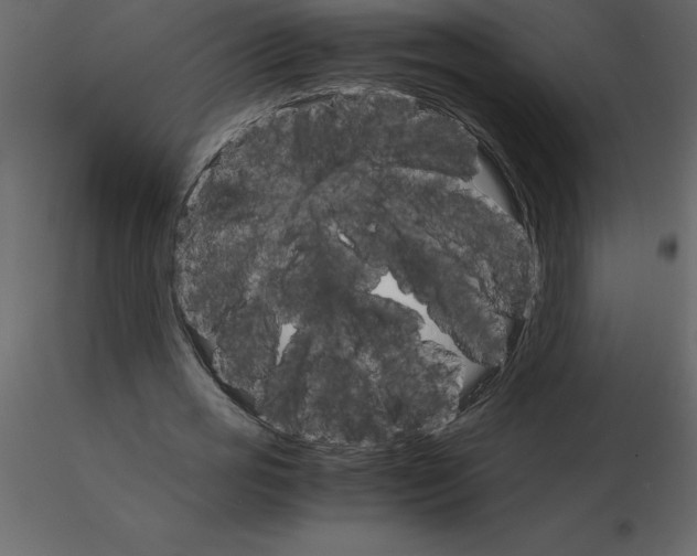 X0000115720725200912241604