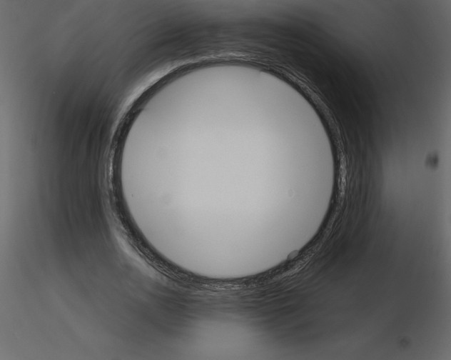 X0000115720726200912241604