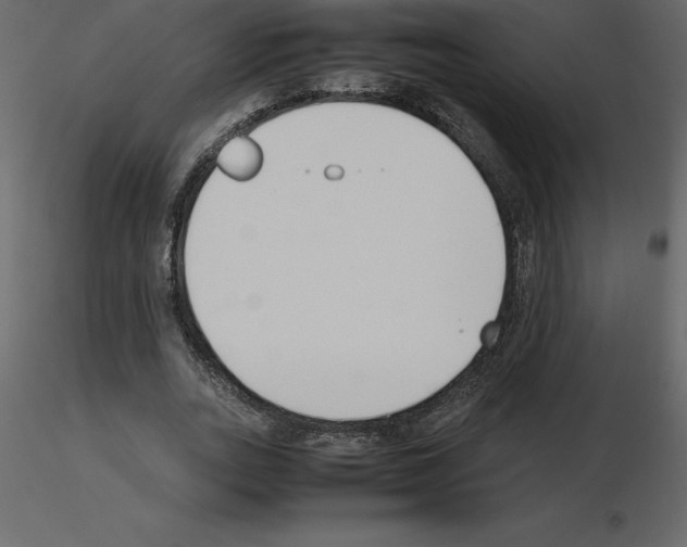 X0000115720727200912241604