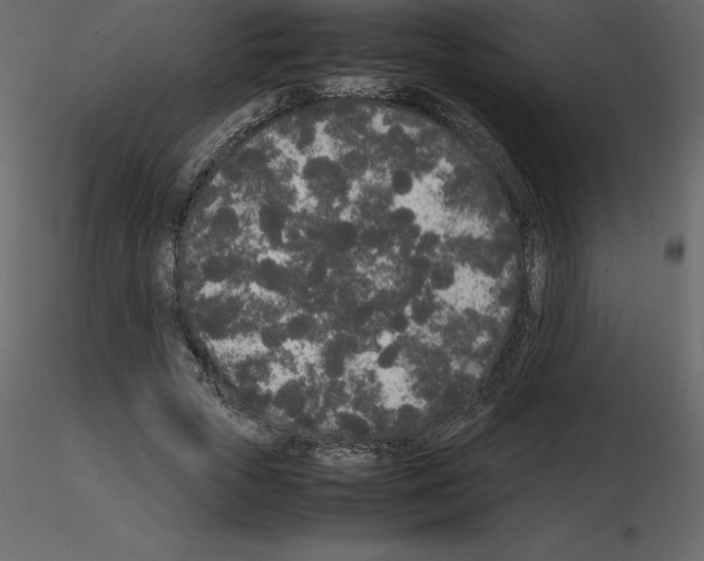 X0000115720729200912241604