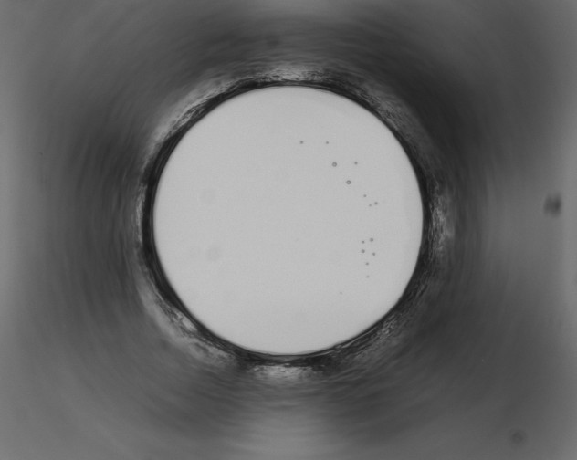 X0000115720730200912241604