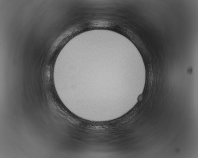 X0000115720731200912241604