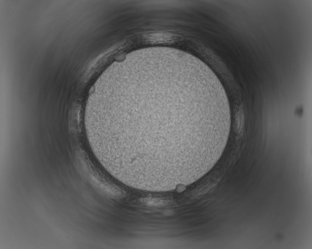 X0000115720733200912241604