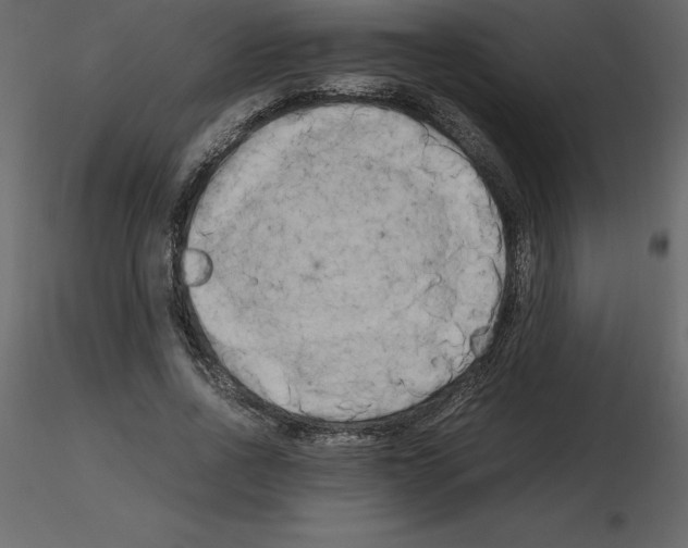 X0000115720734200912241604