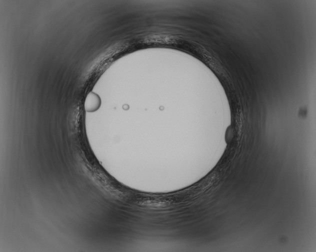 X0000115720735200912241604
