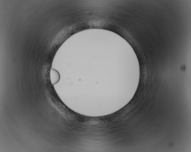 X0000115720738200912241604