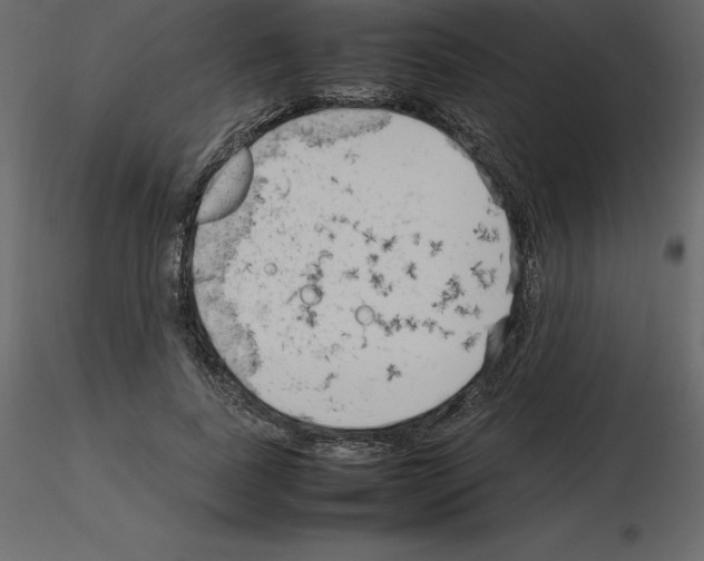 X0000115720739200912241604