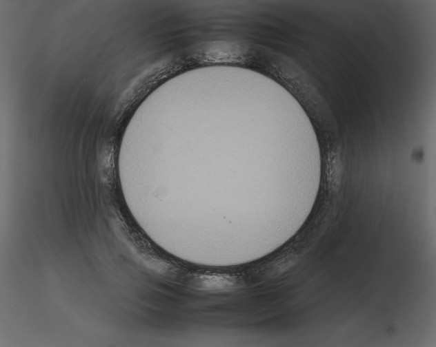 X0000115720741200912241604
