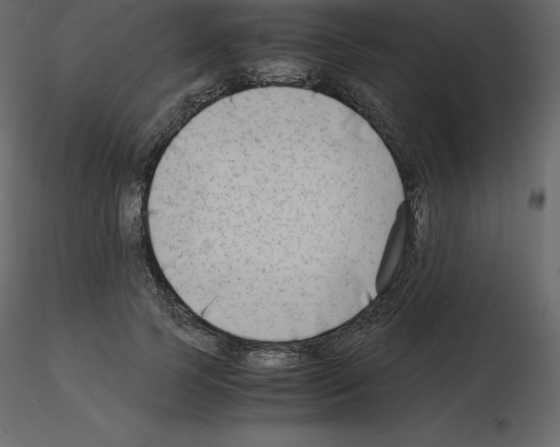 X0000115720745200912241604
