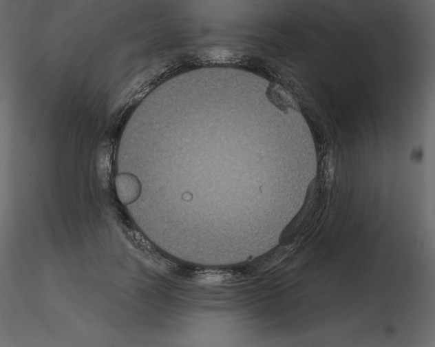 X0000115720746200912241604