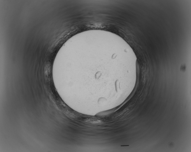 X0000115720747200912241604
