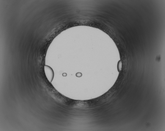 X0000115720750200912241604