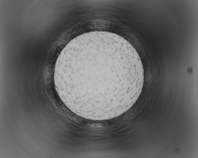 X0000115720751200912241604