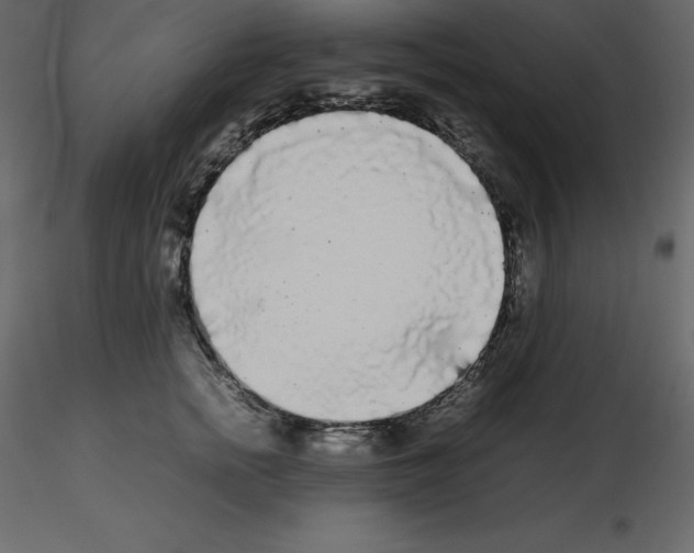 X0000115720758200912241604