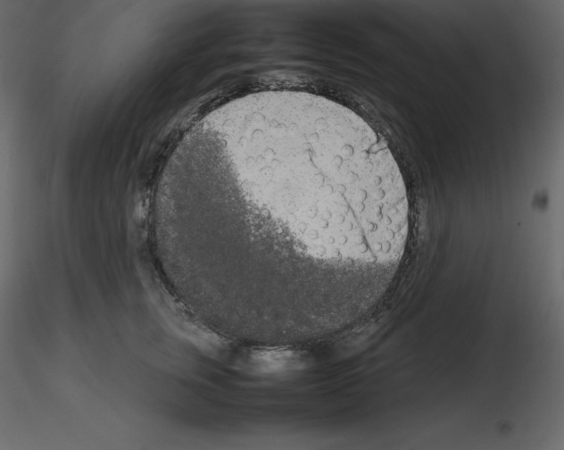 X0000115720759200912241605