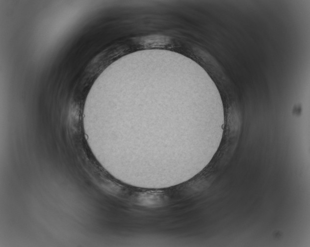 X0000115720761200912241605