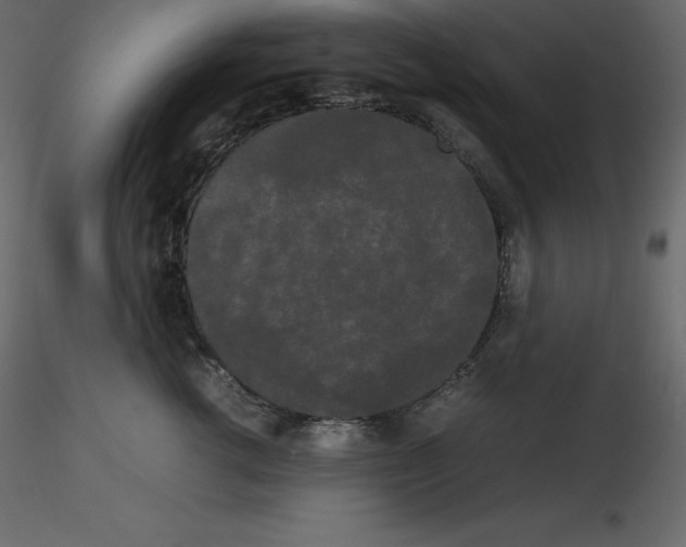 X0000115720762200912241605
