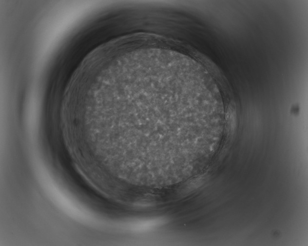 X0000115720765200912241605