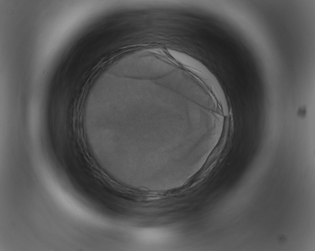 X0000115720766200912241605