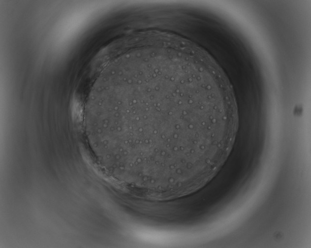 X0000115720767200912241605