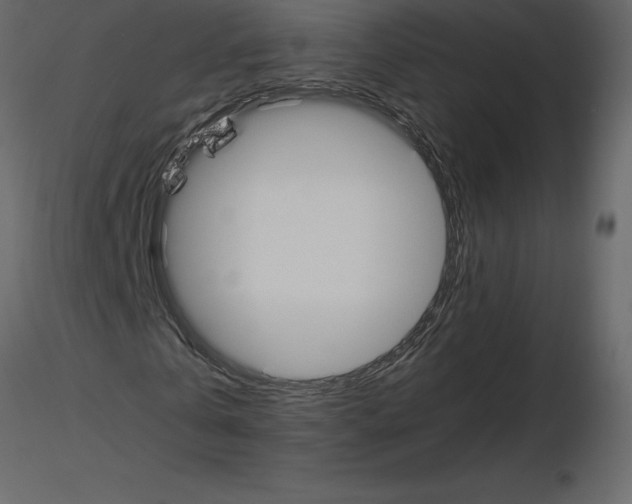 X0000115720769200912241604