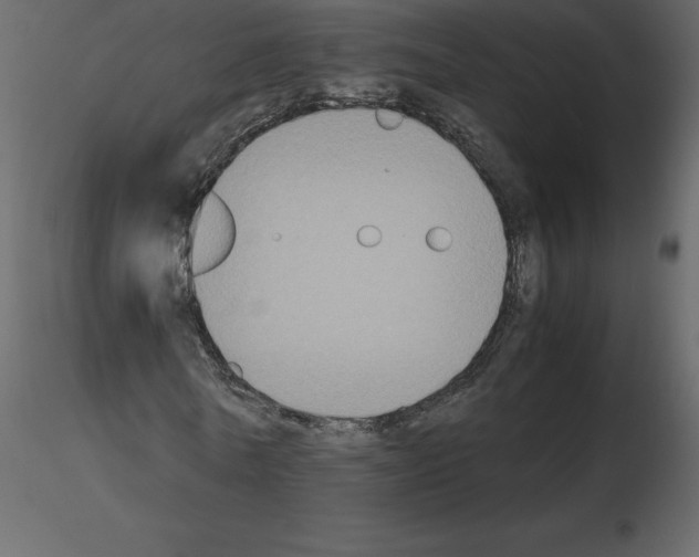 X0000115720770200912241604