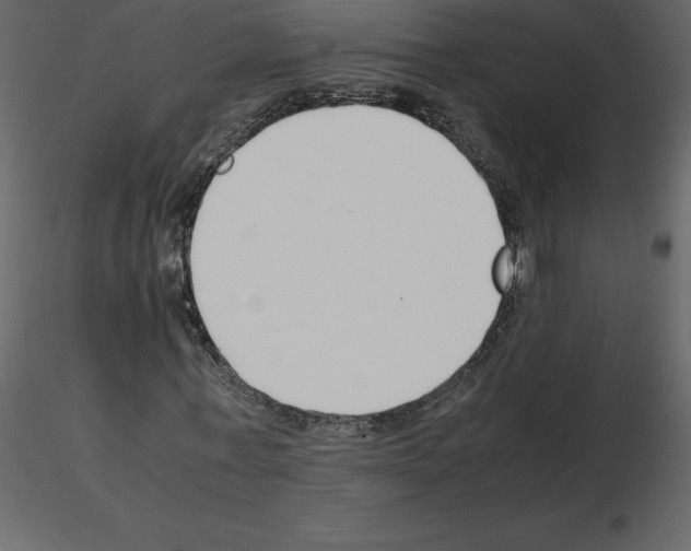 X0000115720771200912241604
