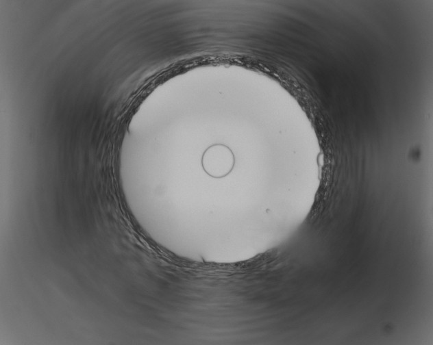 X0000115720773200912241604