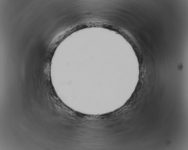 X0000115720775200912241604