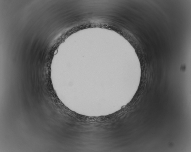 X0000115720776200912241604