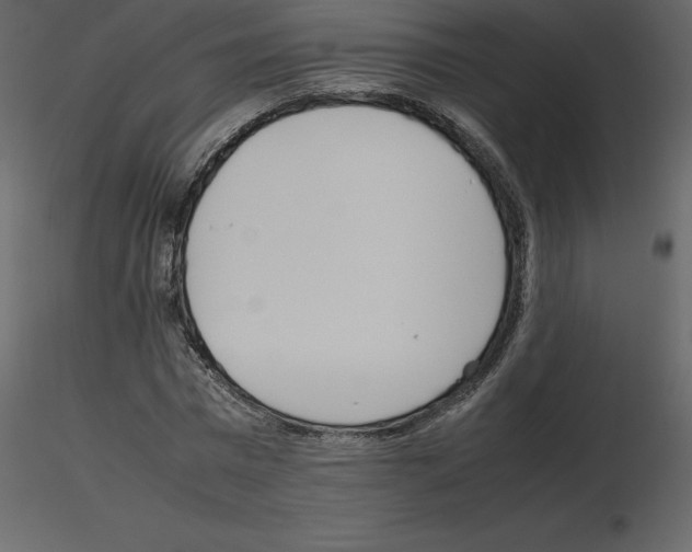 X0000115720777200912241604