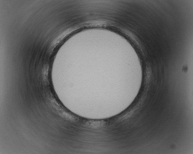 X0000115720778200912241604