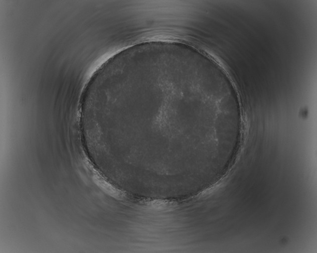 X0000115720779200912241604