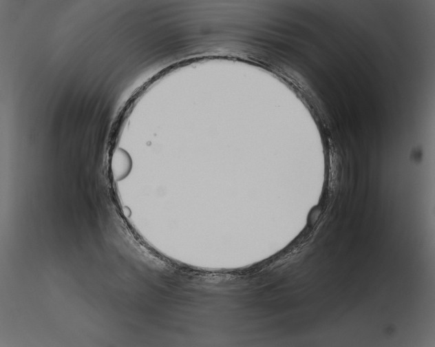 X0000115720780200912241604